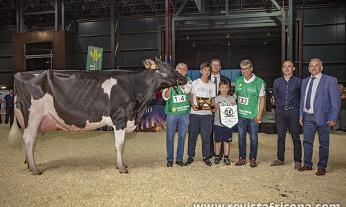 Badiola Crushabull Kinina, Vaca Gran Campeona de Asturias 2023