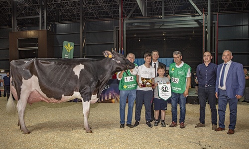 Badiola Crushabull Kinina, Vaca Gran Campeona de Asturias 2023