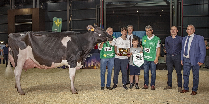 Badiola Crushabull Kinina, Vaca Gran Campeona de Asturias 2023