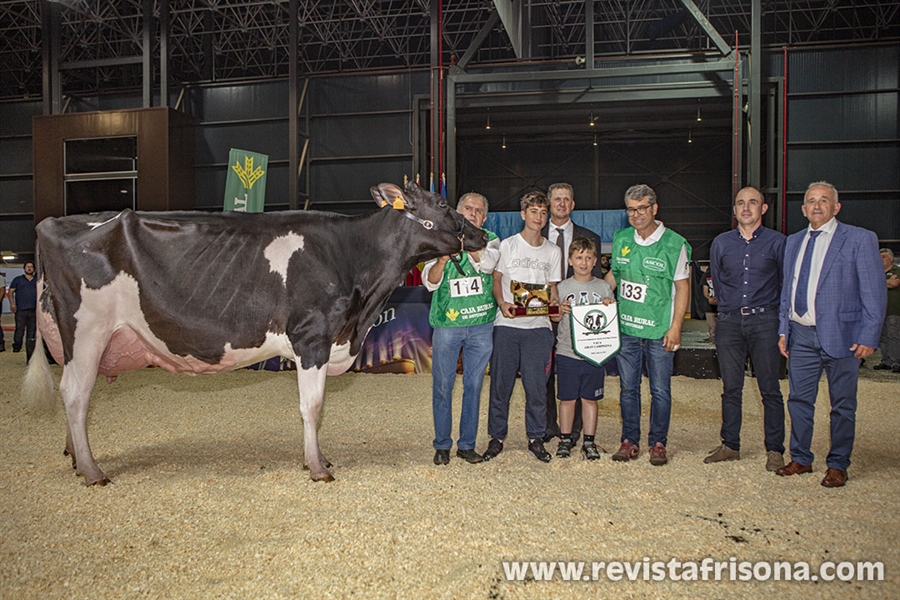 Badiola Crushabull Kinina, Vaca Gran Campeona de Asturias 2023