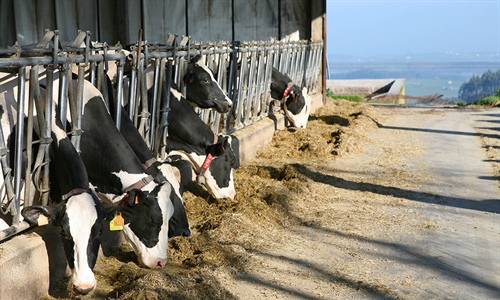 Cantabria destina 750.000 euros a fomentar la produccin lechera de...