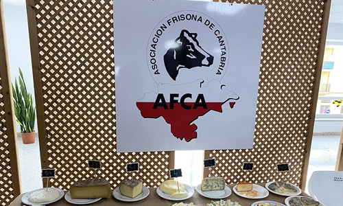 Ganadores del Concurso AFCA de productos con leche de vaca 2023