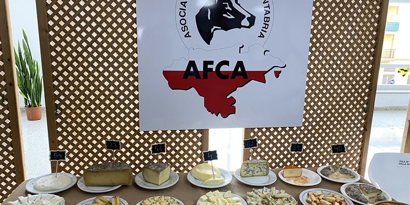 Ganadores del Concurso AFCA de productos con leche de vaca 2023