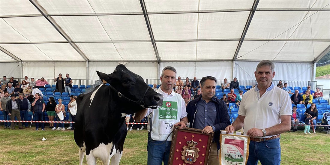 Llinde Wally Golddust, Vaca Gran Campeona de Renedo 2023