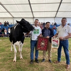 Llinde Wally Golddust, Vaca Gran Campeona de Renedo 2023