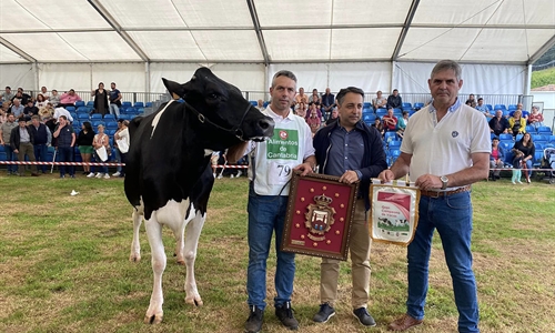 Llinde Wally Golddust, Vaca Gran Campeona de Renedo 2023