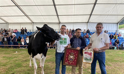 Llinde Wally Golddust, Vaca Gran Campeona de Renedo 2023