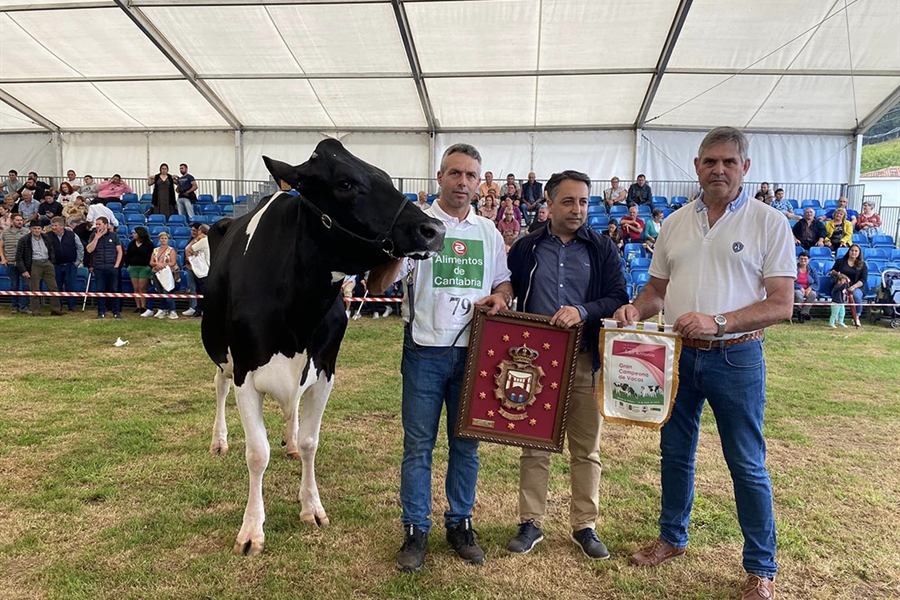 Llinde Wally Golddust, Vaca Gran Campeona de Renedo 2023