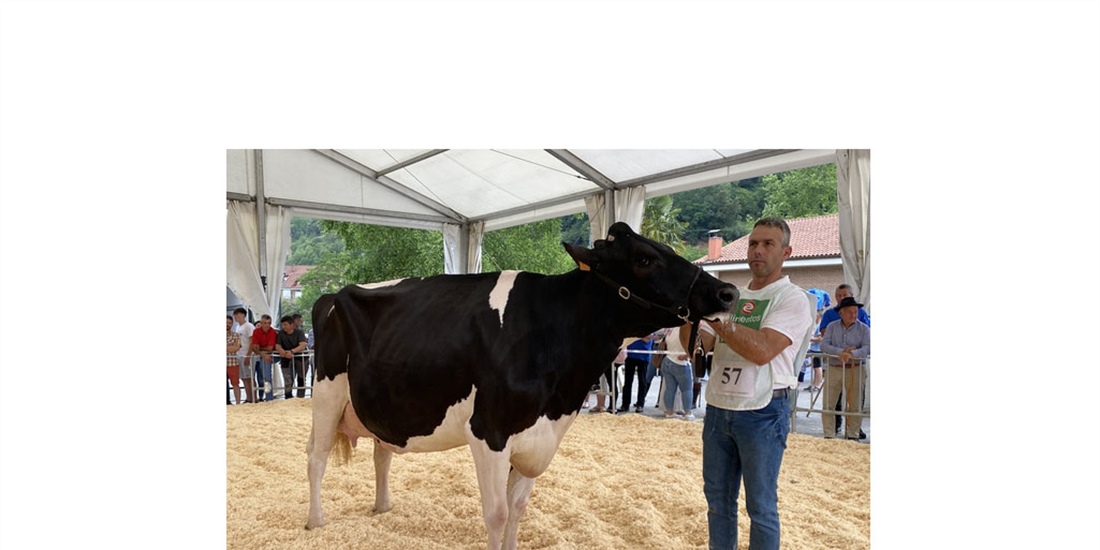 Llinde Wally Golddust (SAT Ceceo), Vaca Gran Campeona de Treceo 2023