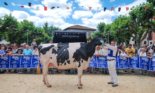22 Concurso de Ganado Frisn de Irn 2023
