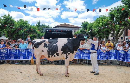 22 Concurso de Ganado Frisn de Irn 2023