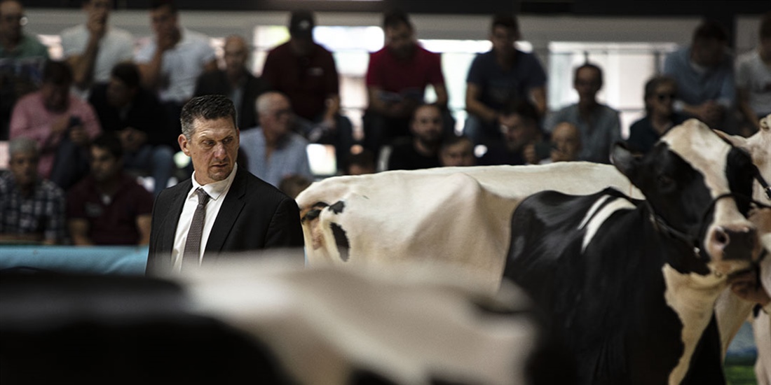 Otra mirada al Concurso Regional de Asturias de la Raza Frisona 2023