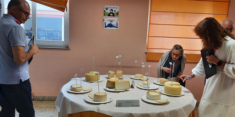 El jurado del Premio Alimentos de Espaa al Mejor Queso evala las 161 muestras presentadas al certamen