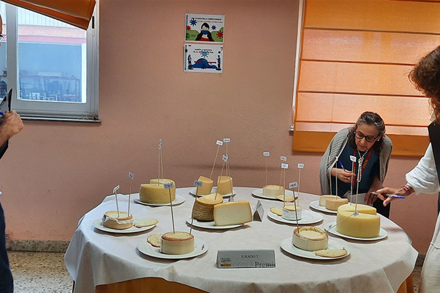 El jurado del Premio Alimentos de Espaa al Mejor Queso evala las 161...