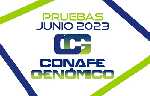 Nuevas pruebas CONAFE Junio 2023 de vacuno de leche, primera evaluacin...