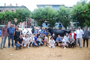 Royal 1619, de ganadería Ardeo, Vaca Gran Campeona de Irún 2023