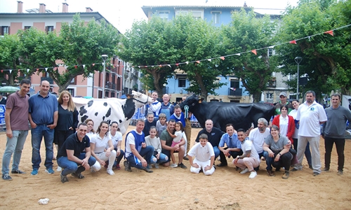 Royal 1619, de ganadera Ardeo, Vaca Gran Campeona de Irn 2023