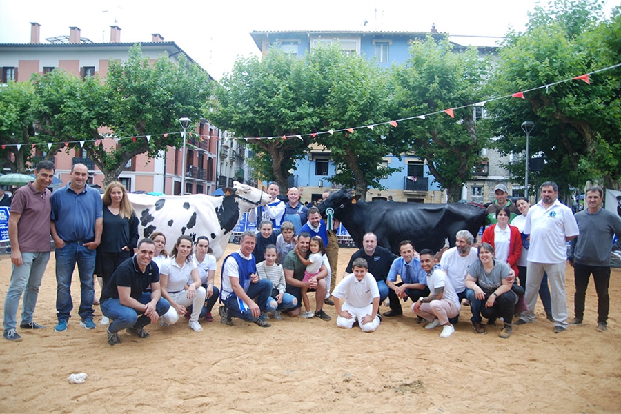 Royal 1619, de ganadera Ardeo, Vaca Gran Campeona de Irn 2023