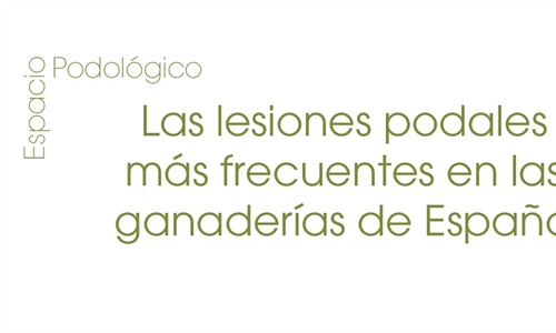 Espacio Podolgico: Las lesiones podales ms frecuentes en las...