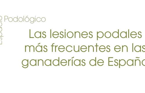 Espacio Podolgico: Las lesiones podales ms frecuentes en las...