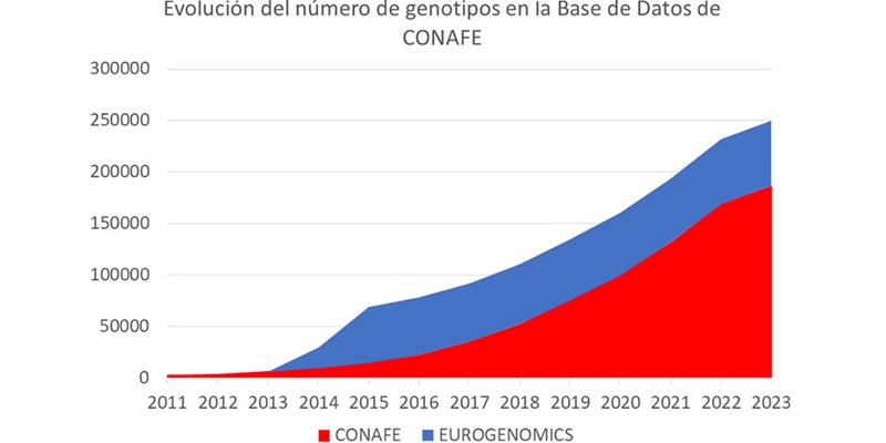 La base de datos de CONAFE alcanza los 250.000 genotipos de animales de raza bovina frisona