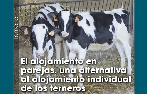 El alojamiento en  parejas, una alternativa al alojamiento individual...