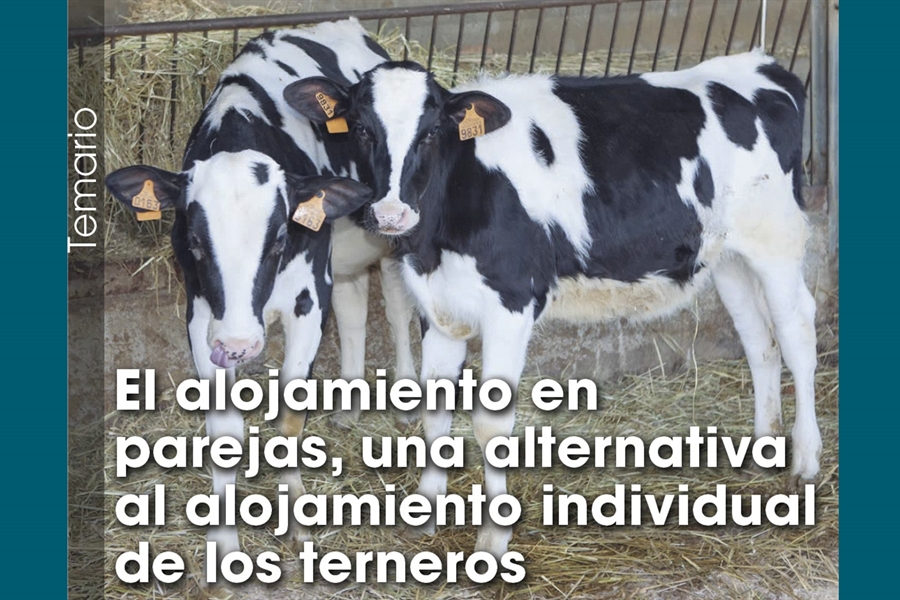 El alojamiento en  parejas, una alternativa al alojamiento individual...