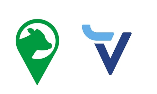 Vacapop o Vayavaca, dos plataformas online de compraventa de ganado vacuno