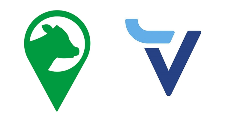 Vacapop o Vayavaca, dos plataformas online de compraventa de ganado vacuno