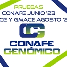 Nuevas pruebas CONAFE Junio 2023 + MACE y GMACE Agosto 2023