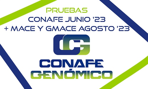 Nuevas pruebas CONAFE Junio 2023 + MACE y GMACE Agosto 2023