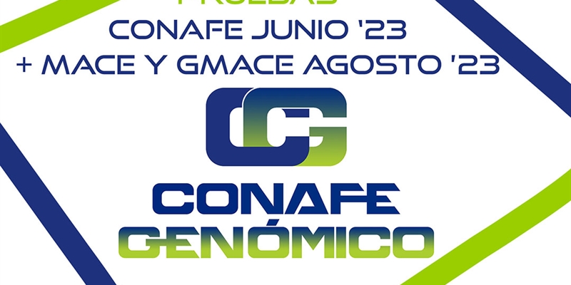 Nuevas pruebas CONAFE Junio 2023 + MACE y GMACE Agosto 2023