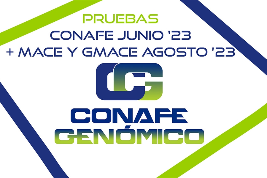 Nuevas pruebas CONAFE Junio 2023 + MACE y GMACE Agosto 2023