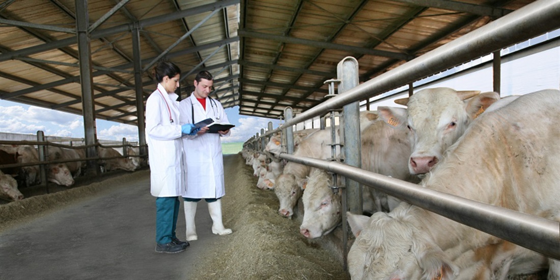 #RealidadGanadera EAAP: "Promover la salud y el bienestar de los...