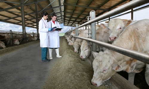 #RealidadGanadera EAAP: "Promover la salud y el bienestar de los...