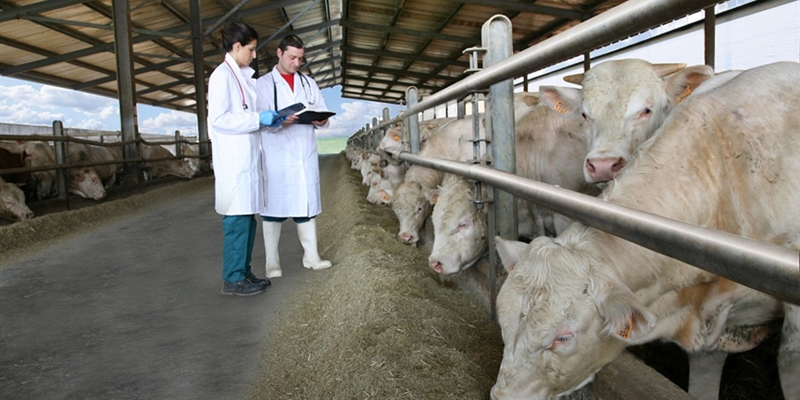 #RealidadGanadera EAAP: "Promover la salud y el bienestar de los animales mediante el control de patógenos"