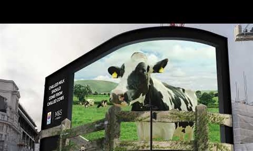 Vacas relajadas, leche fresca, original publicidad en 3D...