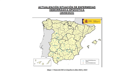 Crece la preocupacin por la EHE (Enfermedad Hemorrgica Epizotica) en...