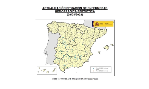 Crece la preocupacin por la EHE (Enfermedad Hemorrgica Epizotica) en...