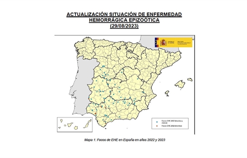 Crece la preocupacin por la EHE (Enfermedad Hemorrgica Epizotica) en...