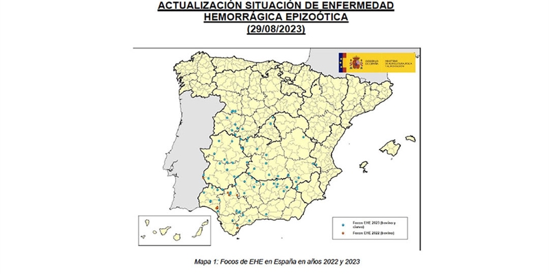 Crece la preocupacin por la EHE (Enfermedad Hemorrgica Epizotica) en ganaderas de vacuno