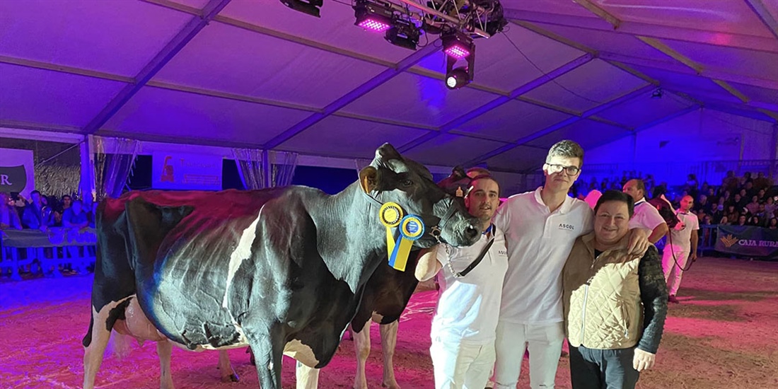 Perrito Sneaker Randa (Ganadera Perrito), Vaca Gran Campeona de Tineo 2023