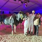 Perrito Sneaker Randa (Ganadera Perrito), Vaca Gran Campeona de Tineo 2023