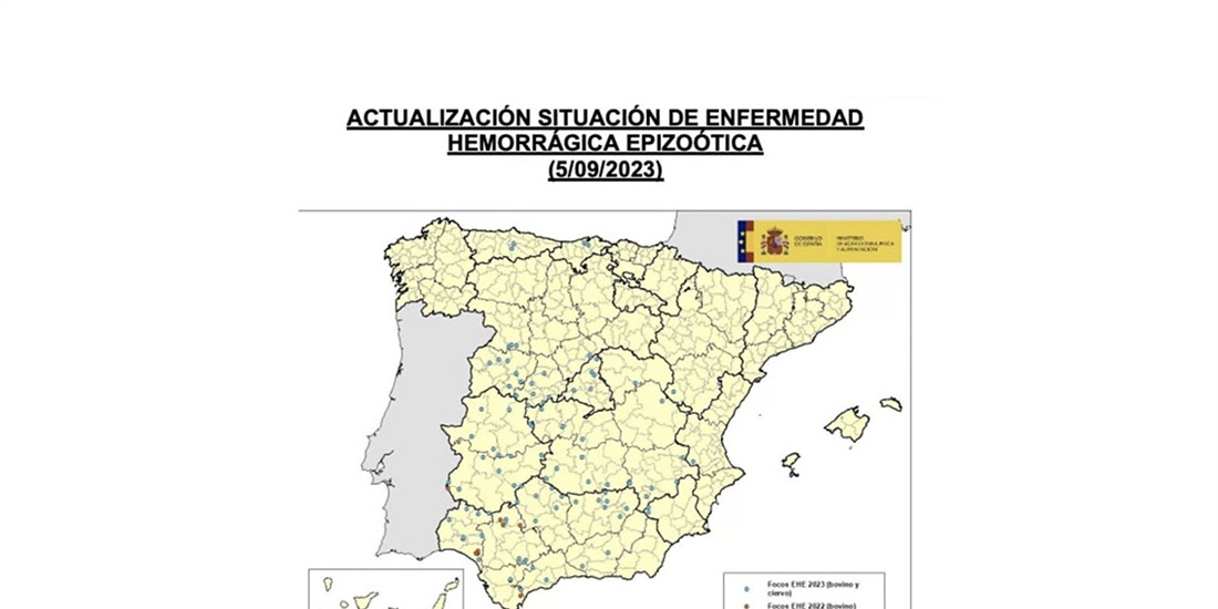 Confirman 18 nuevos casos de enfermedad hemorrgica epizotica en la...