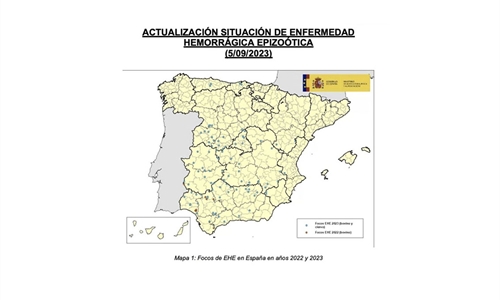 Confirman 18 nuevos casos de enfermedad hemorrgica epizotica en la...