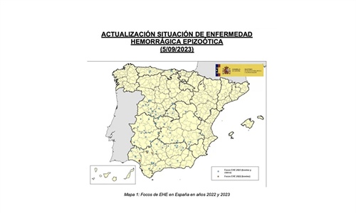 Confirman 18 nuevos casos de enfermedad hemorrgica epizotica en la...