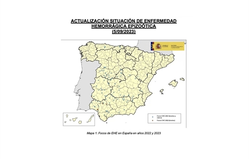 Confirman 18 nuevos casos de enfermedad hemorrgica epizotica en la...