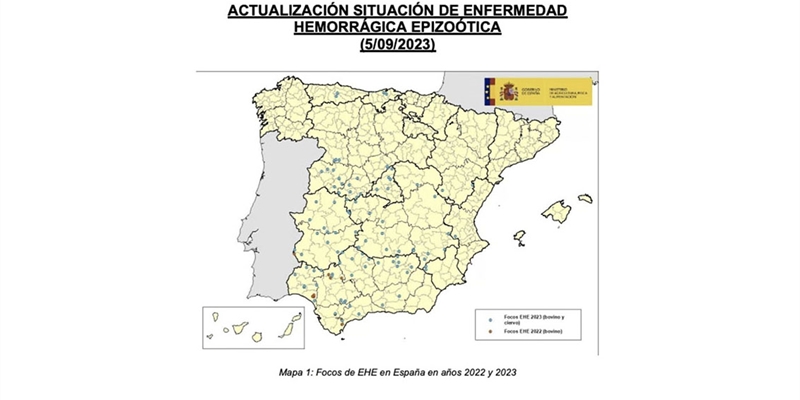 Confirman 18 nuevos casos de enfermedad hemorrgica epizotica en la ltima semana