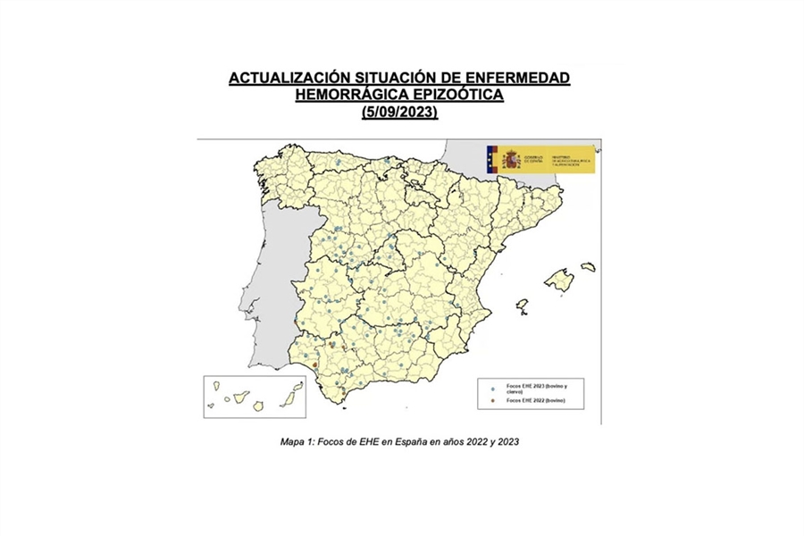 Confirman 18 nuevos casos de enfermedad hemorrgica epizotica en la...