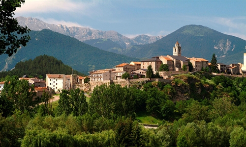 Concurso de Raza Frisona de Bellver de Cerdanya (Lleida) 2023